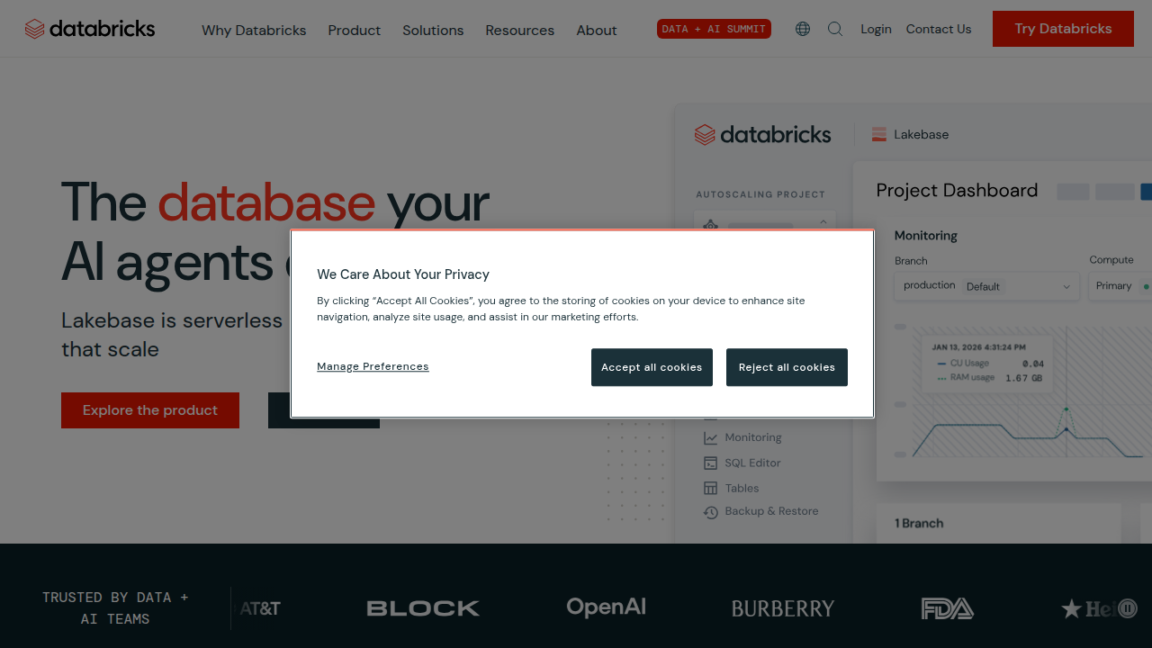 A view of the Databricks platform, showcasing its collaborative notebook environment for data science teams.