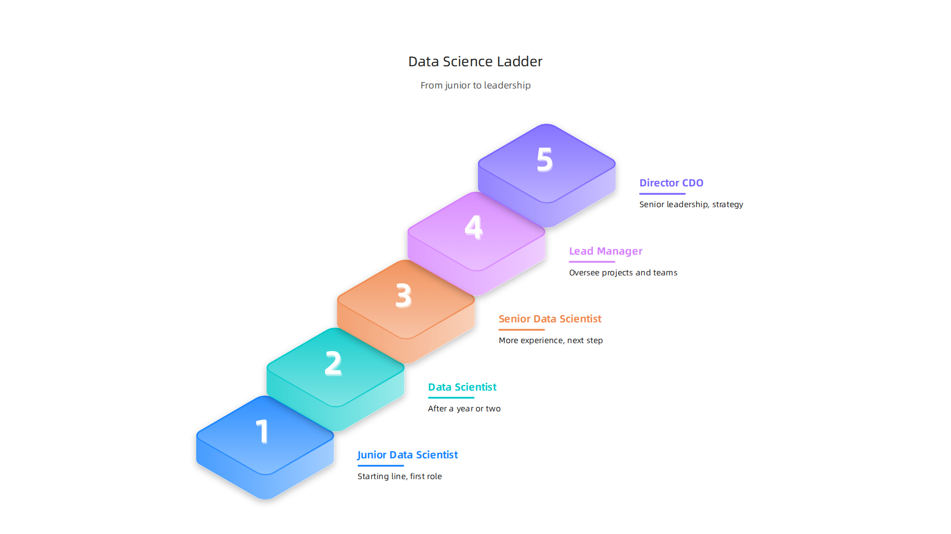 A typical career ladder for data scientists, from junior to senior leadership roles.