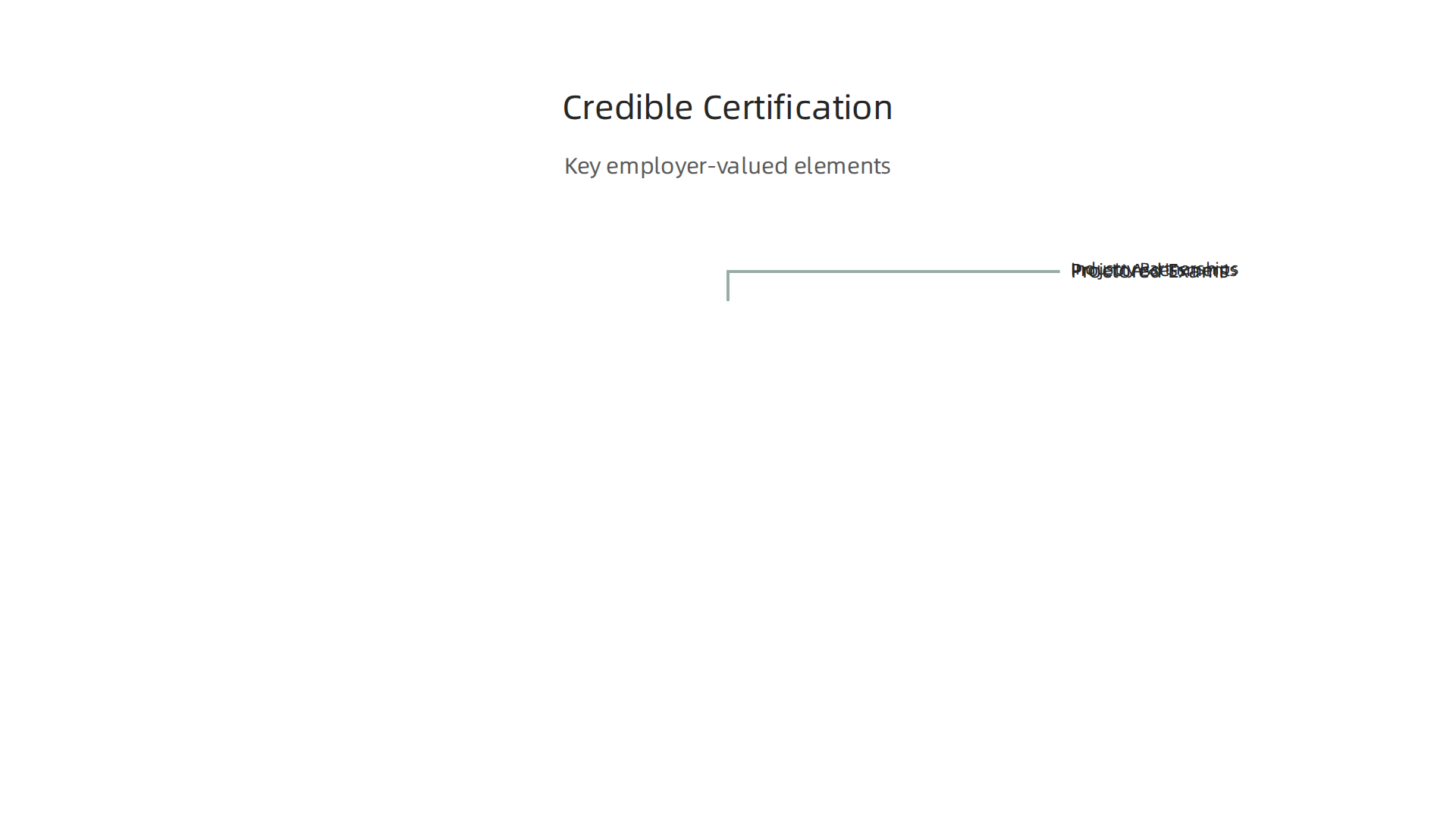 Credible AI certifications often feature proctored exams, project assessments, and industry partnerships.