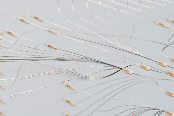 This guide covers the essential data concepts every AI practitioner needs in 2026, explaining why data quality and structure are the foundation of reliable mode...